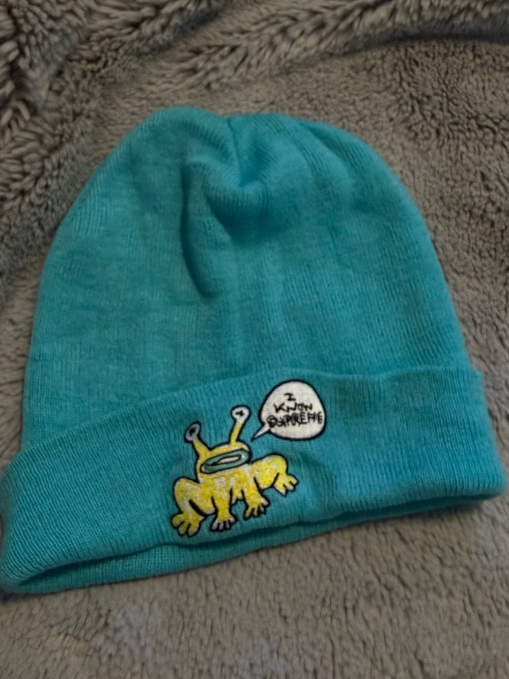Rare Supreme Teal Beanie Hat with Yellow Frog Patch